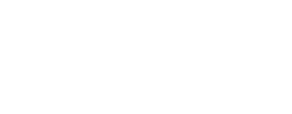 Success Through Networking